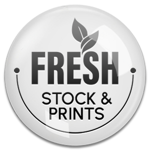 Always fresh stock and fresh prints